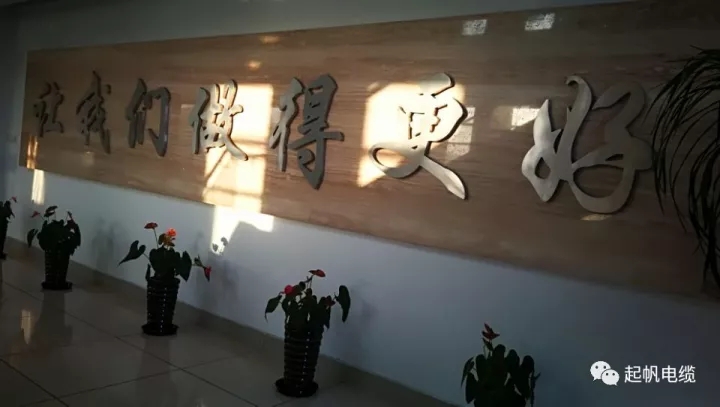 第六届金山区区长质量奖公布，fun88电缆周供华榜上有名